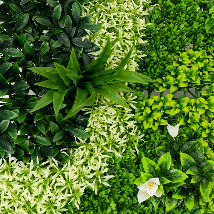 2 pcs 40"×40" Artificial Boxwood Hedge Panels with Variegated Leaves and White Flowers - Green ARTI_PANHD_80X40_GRN02