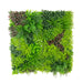 2 pcs 40"×40" Artificial Grass Wall Panels with Mixed Fern and Ivy Leaves - Green ARTI_PANHD_80X40_GRN01