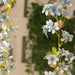 2 Silk Flower Garland Vine Light Jasmine Design