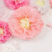 21 Tissue Paper Pom Poms Chrysanthemum Flowers with Butterflies and Leaves Set