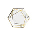 25 Hexagon Paper Salad Dinner Plates with Gold Trim - Disposable Tableware DSP_PPGH0003_7_WHGD