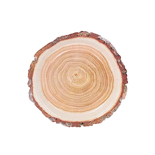 25 Natural Wood Slice Design Round Paper Plates - Disposable Tableware