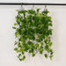 3 Artificial Cottonwood Leaves Bushes Hanging Vines - Green ARTI_GRN_HANG03_40