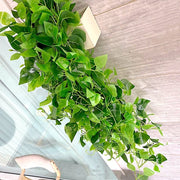 3 Silk Pothos Artificial Hanging Plants - Green ARTI_GRN_19_01