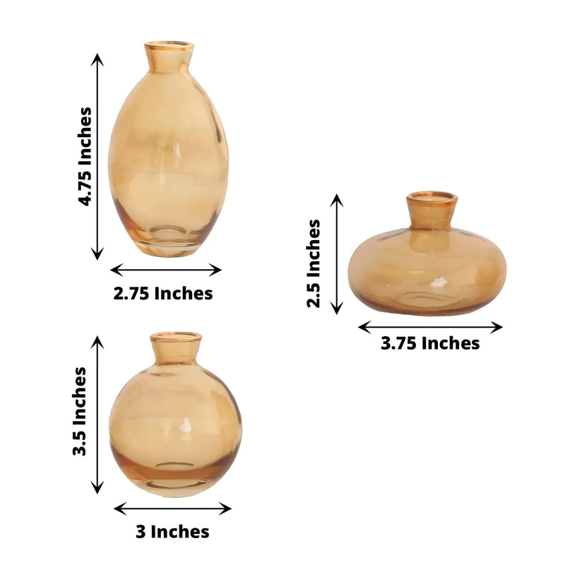 3 Small Glass Flower Vases Centerpieces with Metallic Gold Rim - Clear