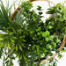 38" Artificial Greenery with Metal Hanging Hoop - Green and Gold ARTI_GRN_HANG04_12
