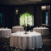4 ft Cream Wisteria Tree with Cascading Silk Flowers with Real Wood Trunk
