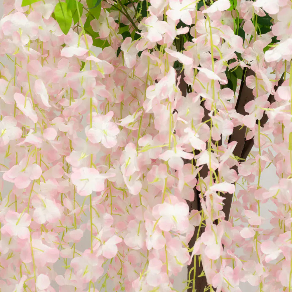 4 ft Cream Wisteria Tree with Cascading Silk Flowers with Real Wood Trunk