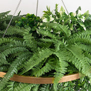 42" Faux Fern Artificial Greenery with Metal Hanging Hoop - Green and Gold ARTI_GRN_HANG05_24