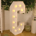 4ft XL LED Marquee Letter Foam Board with 10 Warm White Battery Operated LEDs - White
