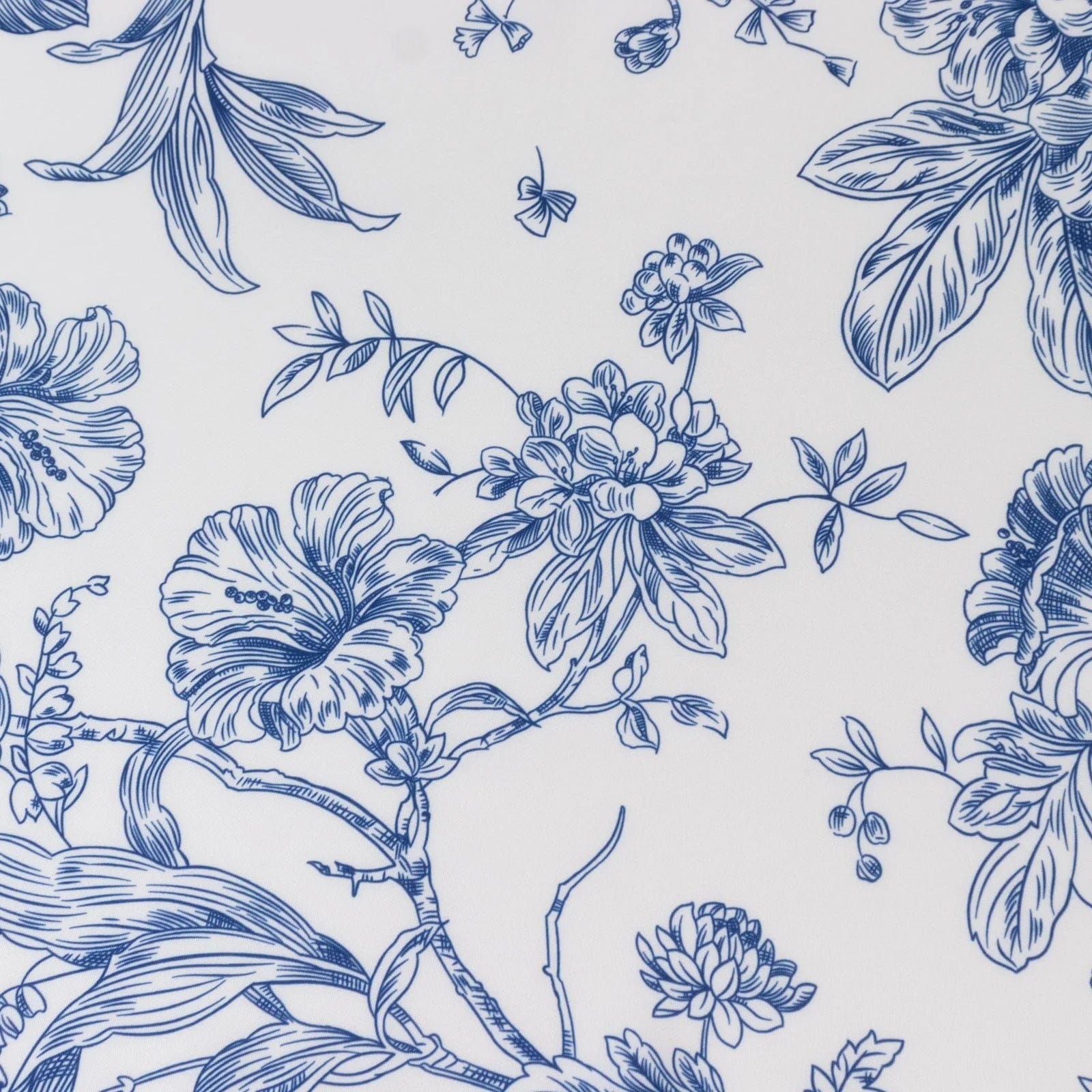 5 French Toile 17