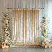 5 ft x 10 ft Crushed Velvet Backdrop Curtain with Rod Pocket