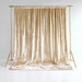 5 ft x 10 ft Crushed Velvet Backdrop Curtain with Rod Pocket