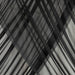 5 ft x 14 ft Sheer Chiffon Curtain Backdrop Drapery Panel
