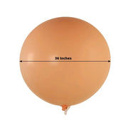 5 Matte Pastel 36" Biodegradable Party Balloons