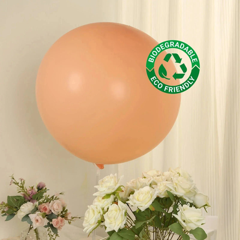5 Matte Pastel 36" Biodegradable Party Balloons