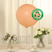 5 Matte Pastel 36" Biodegradable Party Balloons