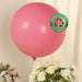5 Matte Pastel 36" Biodegradable Party Balloons