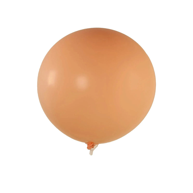 5 Matte Pastel 36" Biodegradable Party Balloons BLOON_BIO_MPTL_36_046
