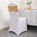 5 Mesh with Embroidered Sequins Chair Sashes