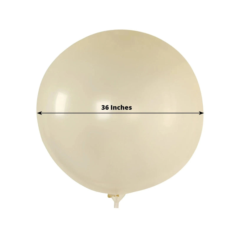 5 Shiny Pearl Biodegradable Party Balloons