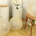5 Shiny Pearl Biodegradable Party Balloons