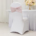 5 Wide Ruffle Crushed Velvet Chair Sashes