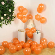 50 Biodegradable Party Balloons