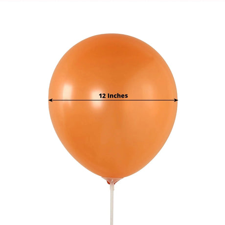 50 Biodegradable Party Balloons