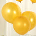50 Biodegradable Party Balloons