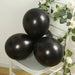 50 Biodegradable Party Balloons
