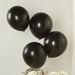 50 Biodegradable Party Balloons