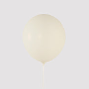 50 Matte Pastel Biodegradable Balloons