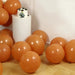 50 Matte Pastel Biodegradable Balloons