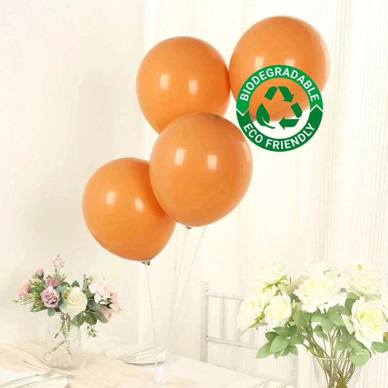 50 Matte Pastel Biodegradable Balloons