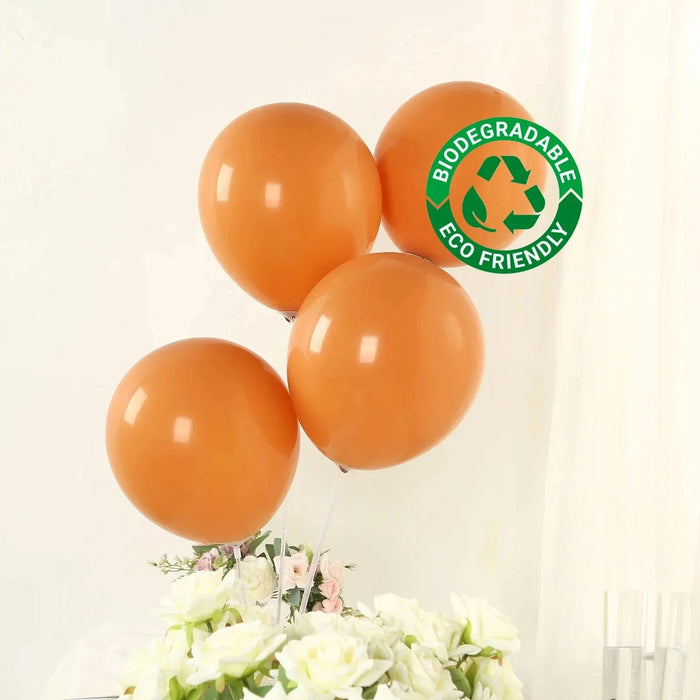 50 Matte Pastel Biodegradable Balloons