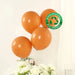 50 Matte Pastel Biodegradable Balloons