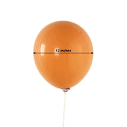 50 Matte Pastel Biodegradable Balloons