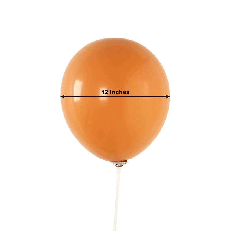50 Matte Pastel Biodegradable Balloons