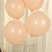 50 Matte Pastel Biodegradable Balloons