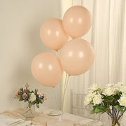 50 Matte Pastel Biodegradable Balloons
