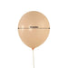 50 Matte Pastel Biodegradable Balloons