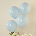 50 Matte Pastel Biodegradable Balloons