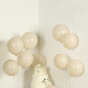 50 Matte Pastel Biodegradable Balloons