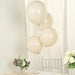 50 Matte Pastel Biodegradable Balloons