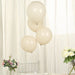 50 Matte Pastel Biodegradable Balloons