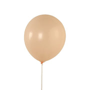 50 Matte Pastel Biodegradable Balloons BLOON_BIO_MPTL_12_046