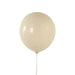 50 Matte Pastel Biodegradable Balloons BLOON_BIO_MPTL_12_081