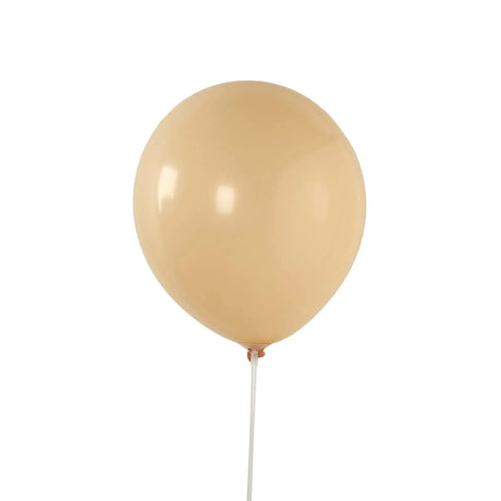 50 Matte Pastel Biodegradable Balloons BLOON_BIO_MPTL_12_PCH