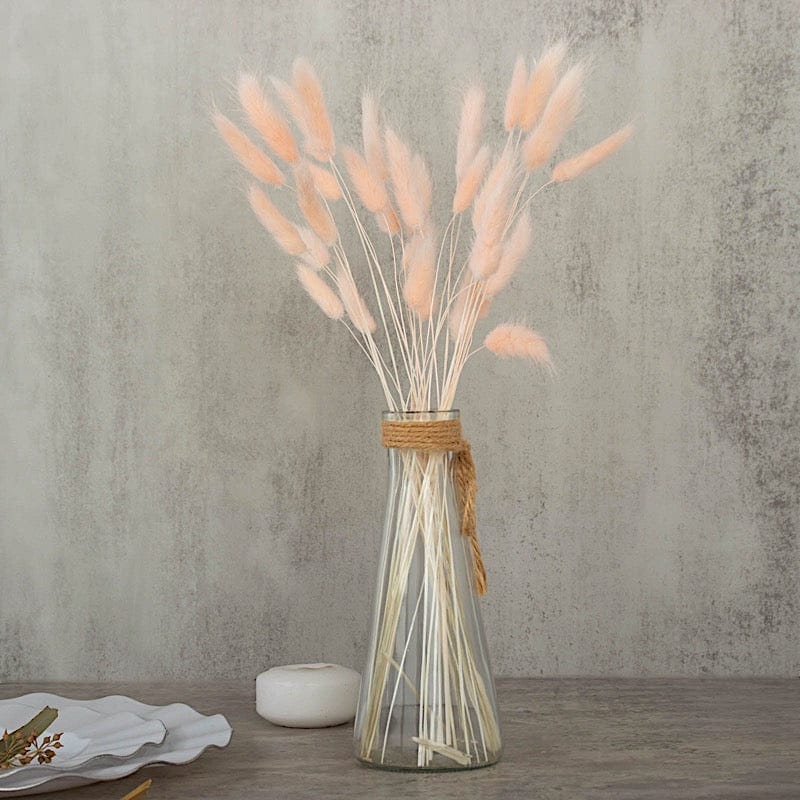 50 Stems 15" Rabbit Tail Dried Natural Pampas Grass Sprays